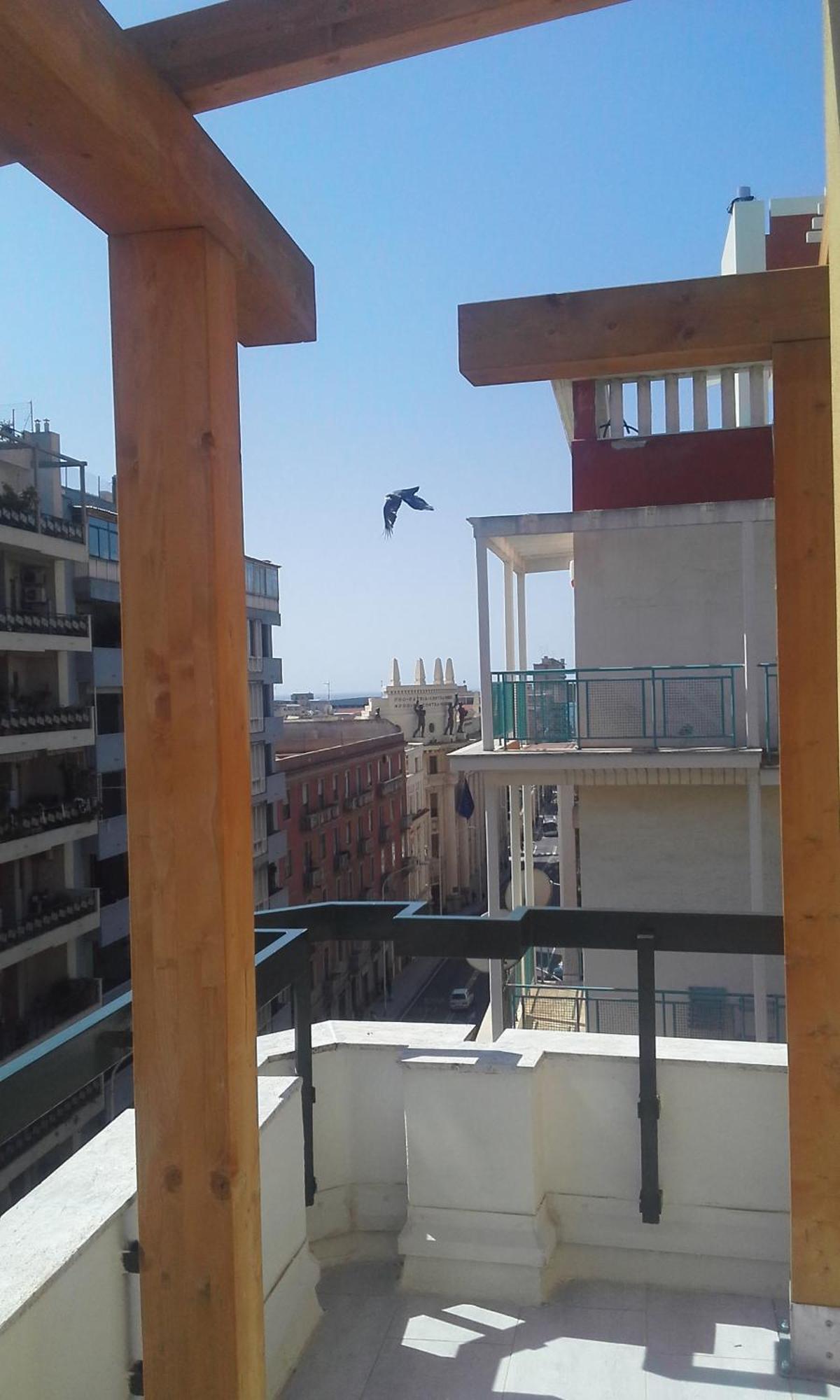 Monolocale Sonnino Villa Cagliari Luaran gambar